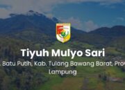 Dana Desa 2024 Tiyuh Mulyo Sari Batu Putih Tubaba Terealisasi sesuai Program
